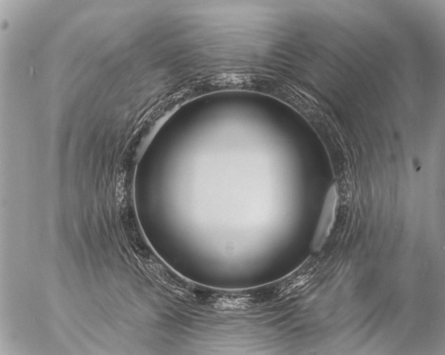 X0000057090560200509231653