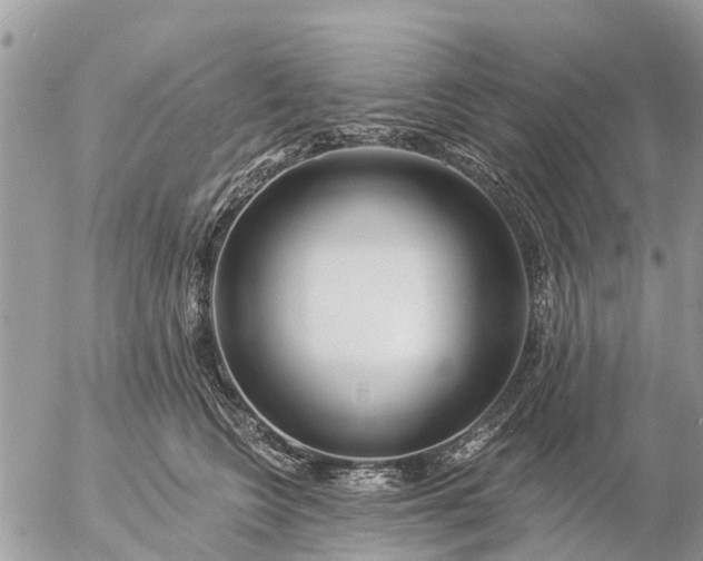 X0000057090566200509231653