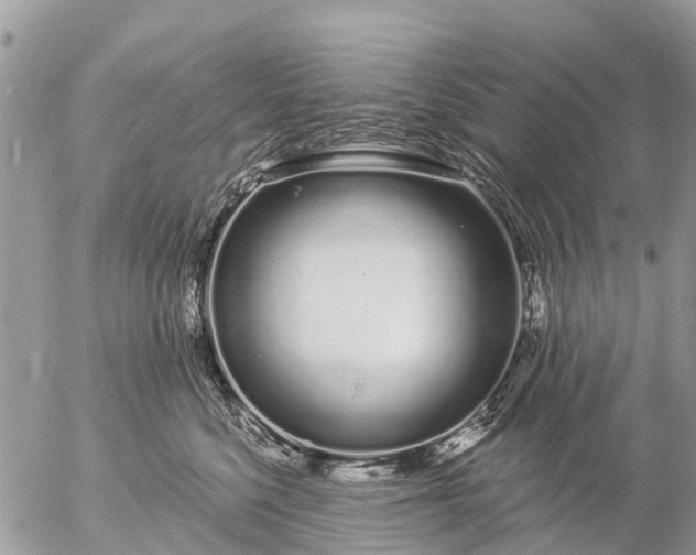 X0000057090568200509231653