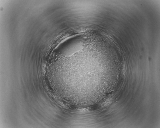 X0000057090569200509231653