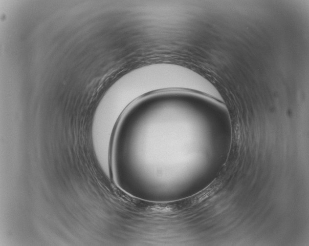 X0000057090570200509231653