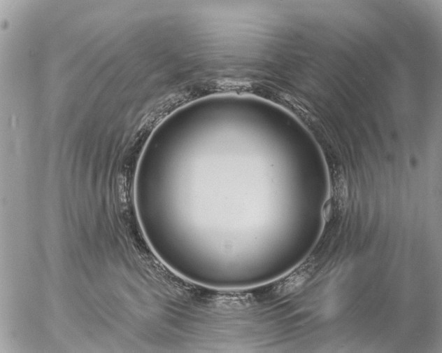 X0000057090571200509231653