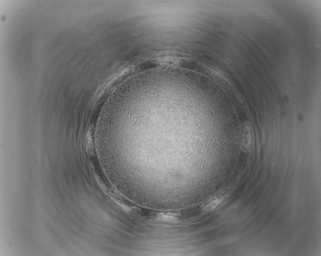 X0000057090573200509231653