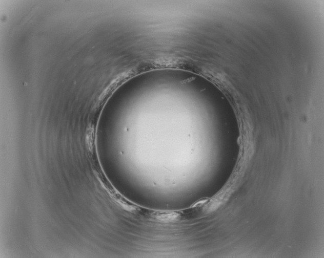 X0000057090576200509231653