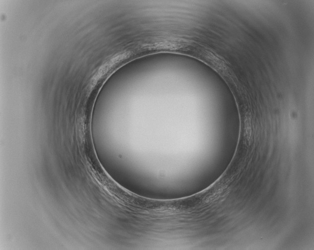 X0000057090578200509231652