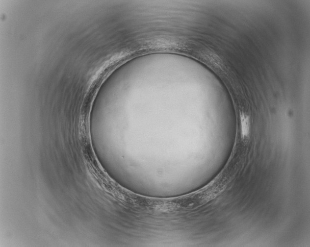 X0000057090579200509231652