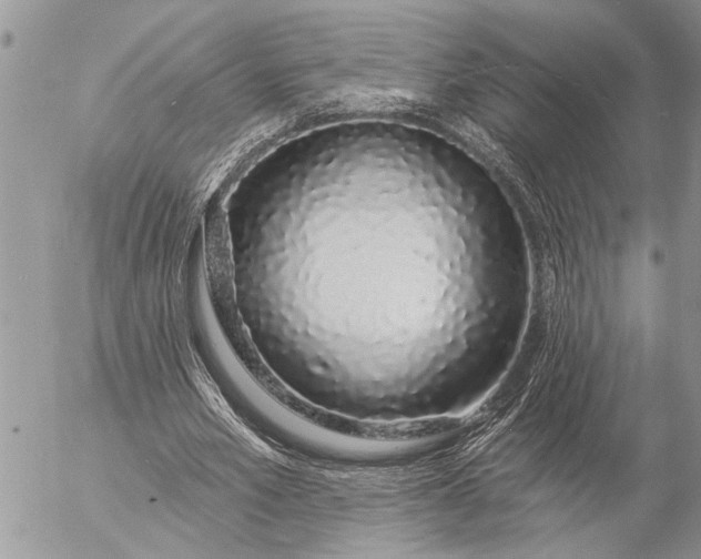 X0000057090581200509231652