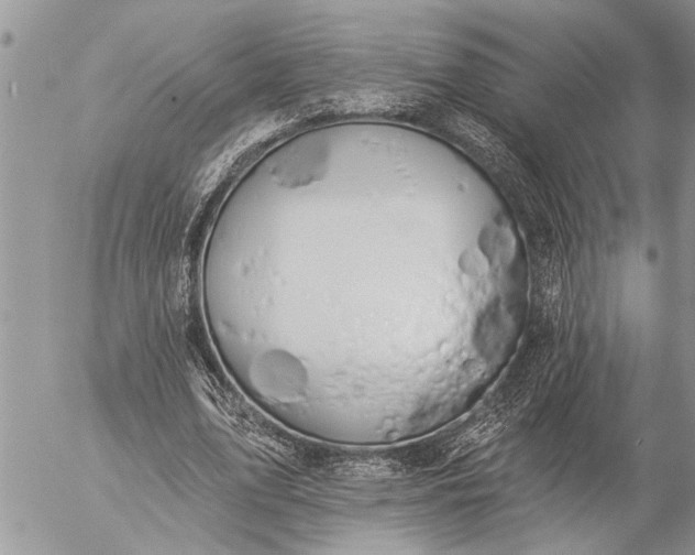 X0000057090583200509231652