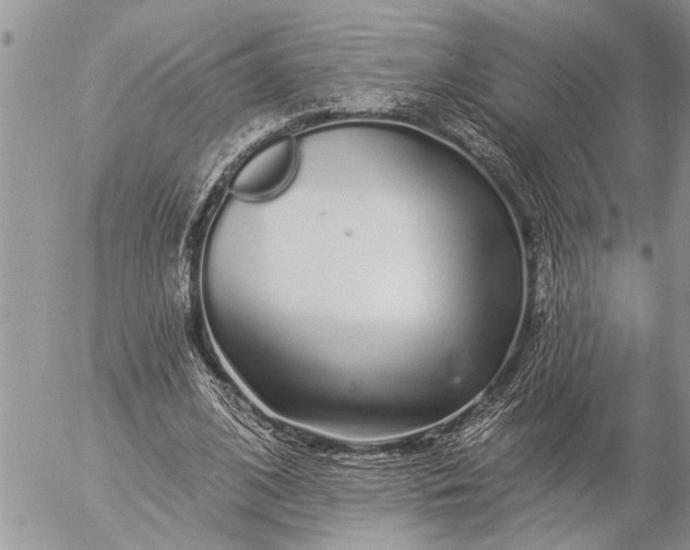 X0000057090584200509231652