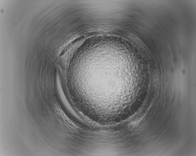 X0000057090585200509231652