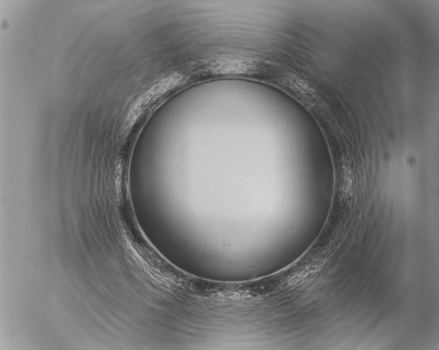 X0000057090586200509231652