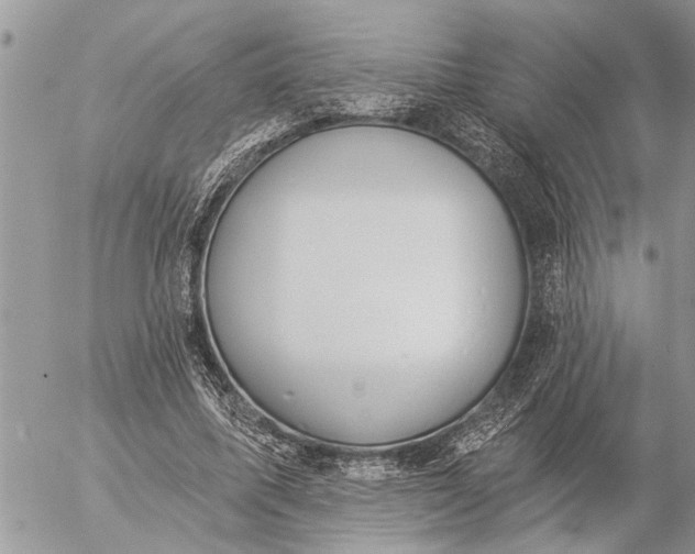 X0000057090587200509231652