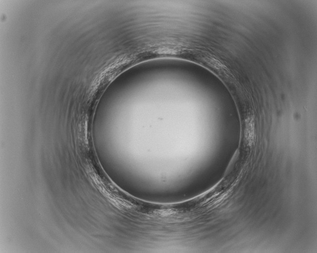 X0000057090589200509231652