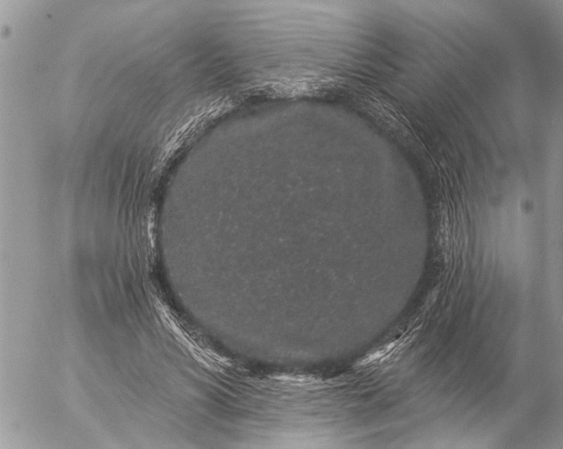 X0000057090590200509231652