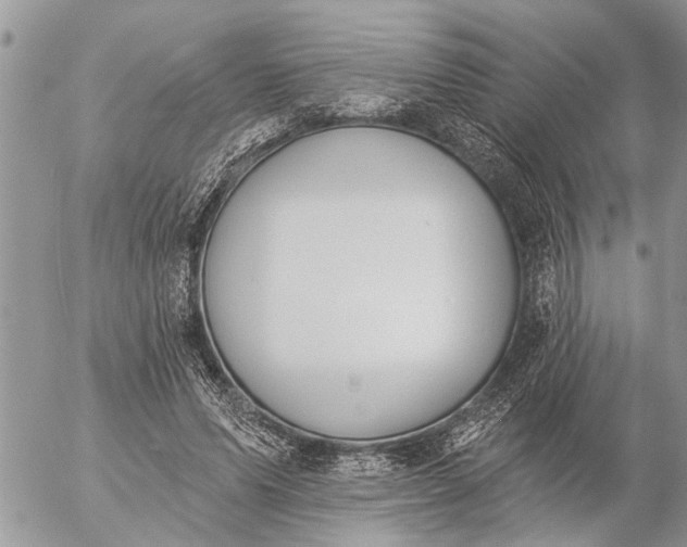 X0000057090591200509231652