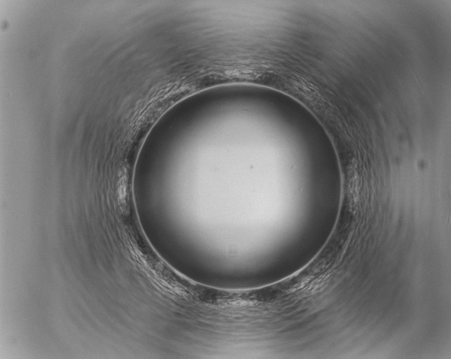 X0000057090593200509231652