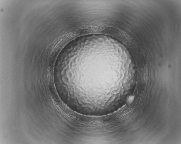 X0000057090594200509231652