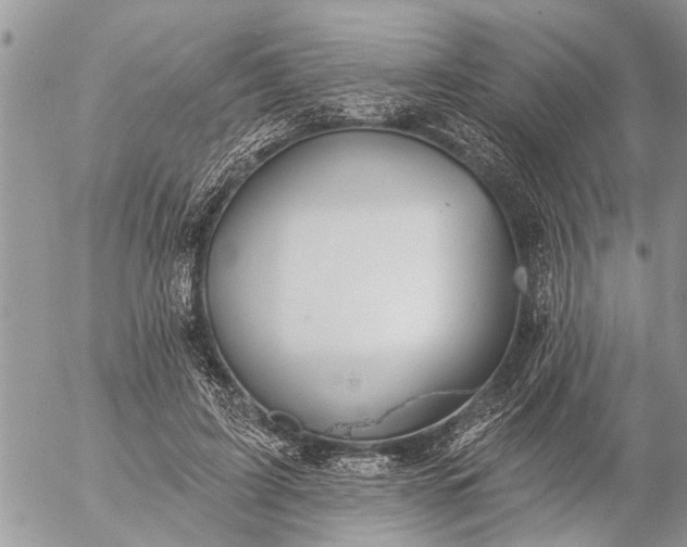 X0000057090595200509231652