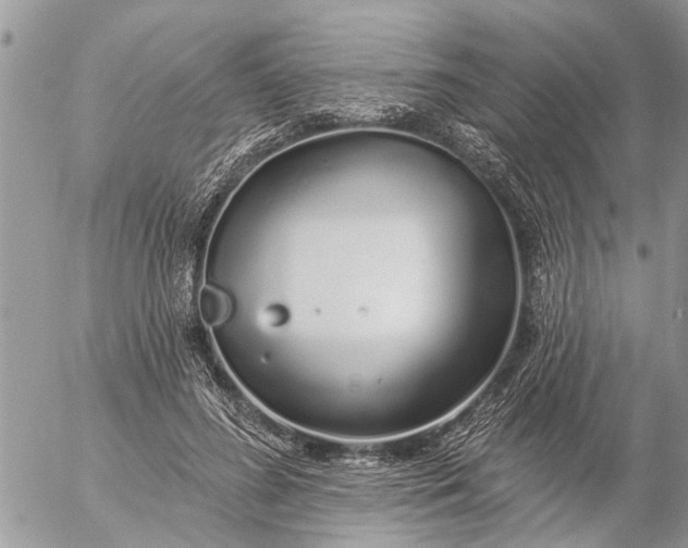 X0000057090596200509231652