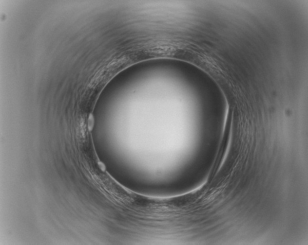 X0000057090597200509231652