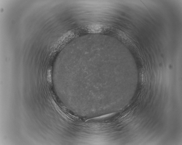 X0000057090598200509231652