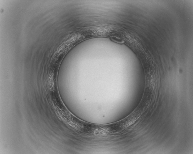 X0000057090599200509231652