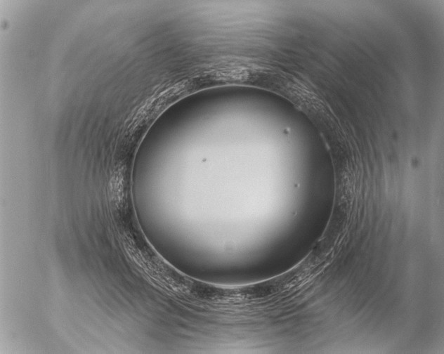 X0000057090600200509231652