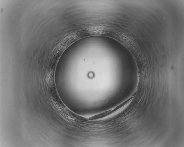 X0000057090601200509231652