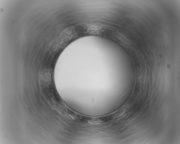 X0000057090603200509231652