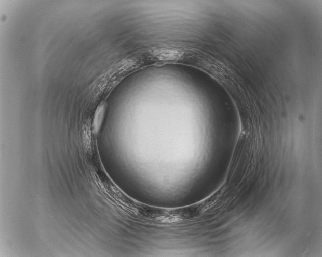 X0000057090604200509231652