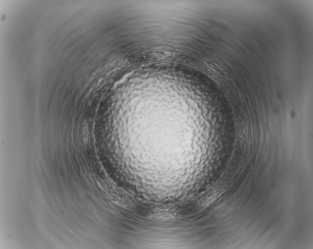 X0000057090606200509231652