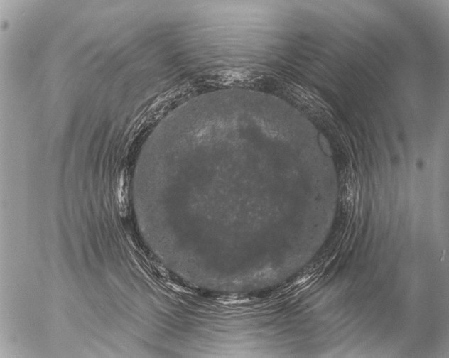 X0000057090607200509231652