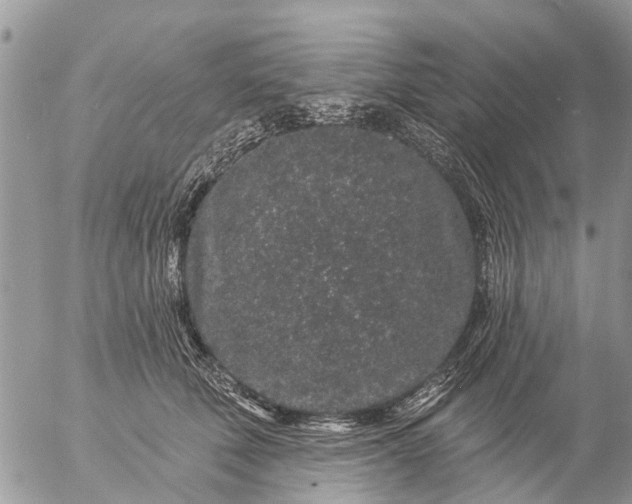 X0000057090610200509231651