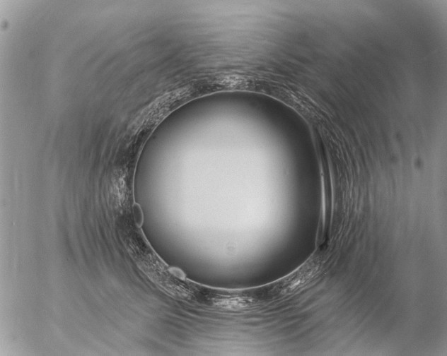 X0000057090611200509231651