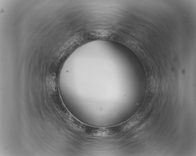 X0000057090612200509231651