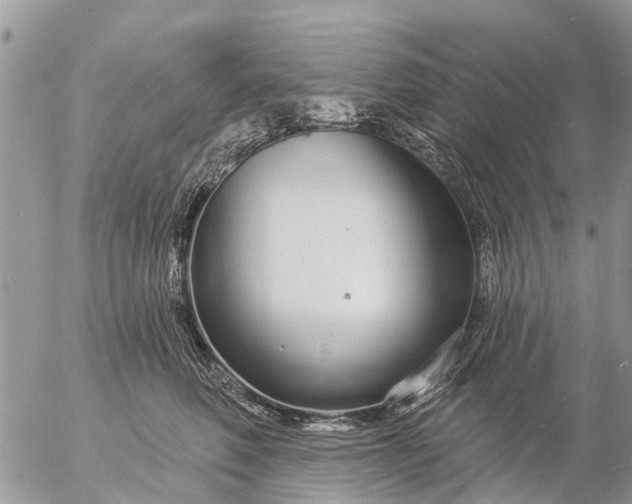 X0000057090614200509231651