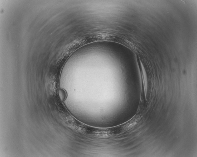 X0000057090615200509231651