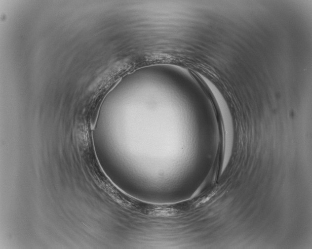 X0000057090617200509231651