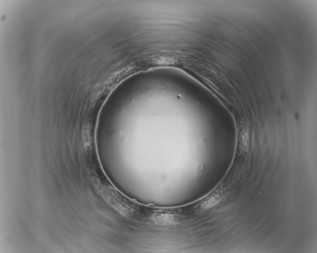 X0000057090620200509231651