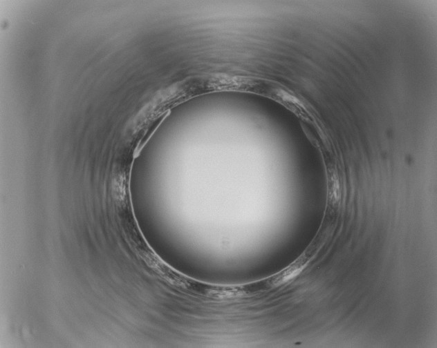 X0000057090621200509231651