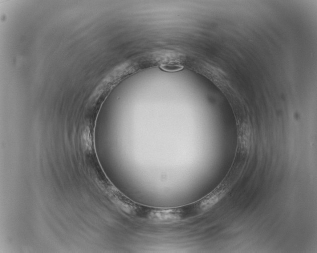 X0000057090622200509231651