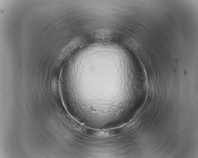 X0000057090623200509231651