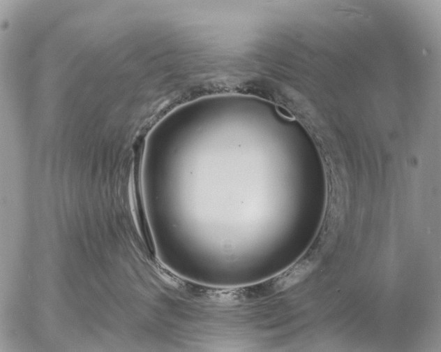 X0000057090624200509231651