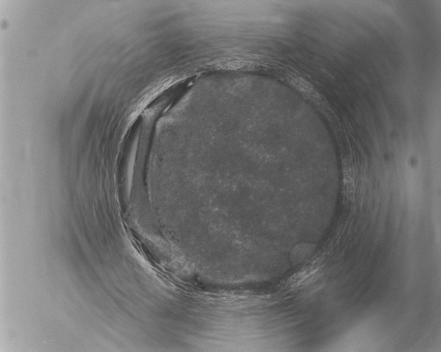 X0000057090626200509231650