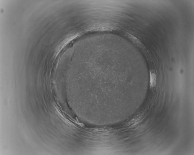 X0000057090627200509231650