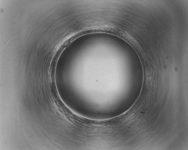 X0000057090628200509231650