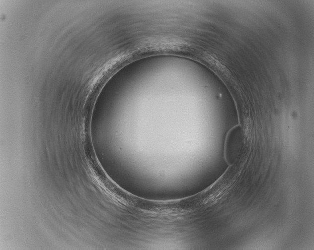 X0000057090629200509231651