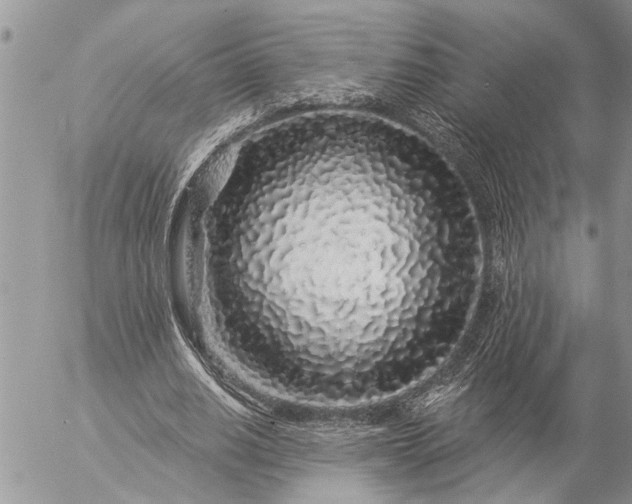 X0000057090630200509231651