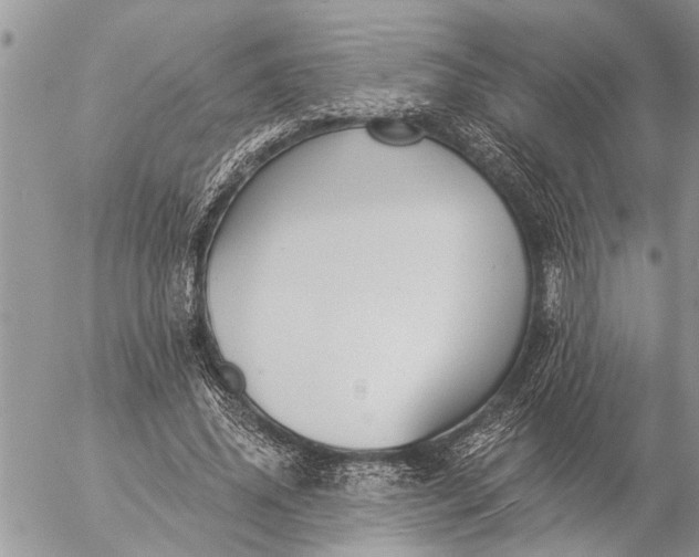 X0000057090636200509231651