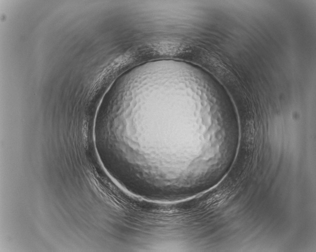 X0000057090639200509231651